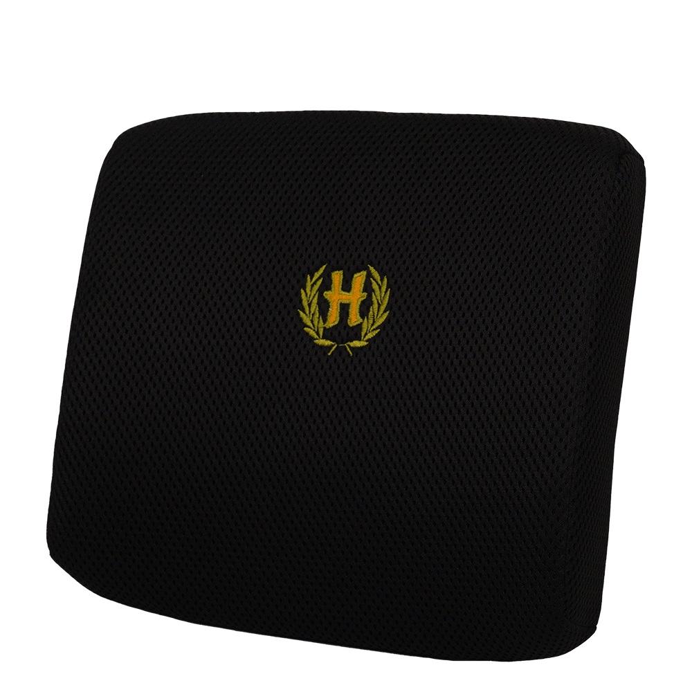 پشتی اداری طبی